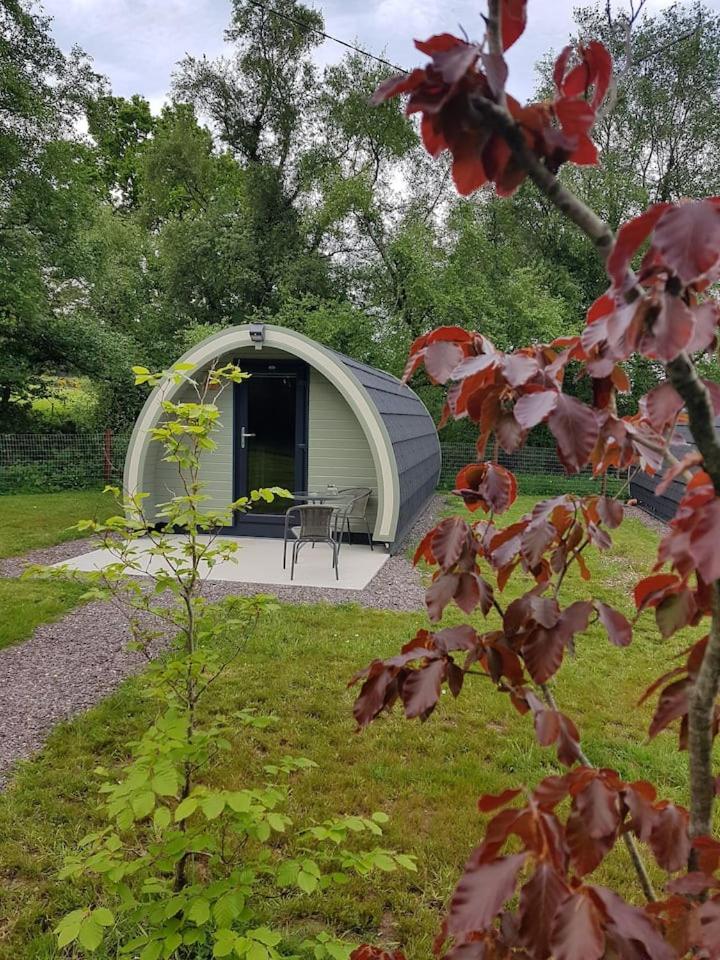 Mount Hillary Holiday Pods Корк Екстериор снимка